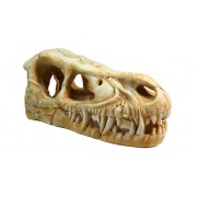 Deksi "Череп динозавра № 1004"