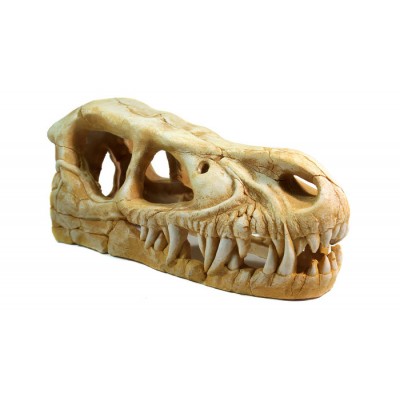 Deksi "Череп динозавра № 1004" Deksi "Череп динозавра № 1004"