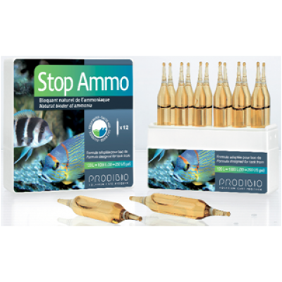 Ратение пластиковое маленькое (130 р.) Ратение пластиковое маленькое (130 р.)