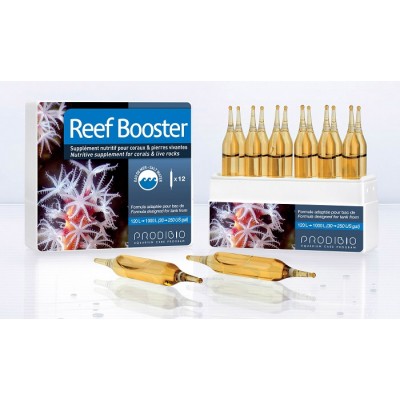 Prodibio "Reef Booster" 12 ампул (питание для беспозвоночных и микроорганизмов) Prodibio "Reef Booster" 12 ампул (питание для беспозвоночных и микроорганизмов)