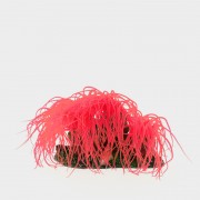 Коралл пластиковый красный, 14*11*9 см (CA003R)
