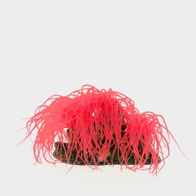 Коралл пластиковый красный, 14*11*9 см (CA003R) Коралл пластиковый красный, 14*11*9 см (CA003R)