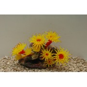 Коралл силиконовый жёлтый, 20*12*14 см (SH208Y)