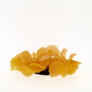 Коралл силиконовый красный, 5.5*5.5*12 см (SH138R)