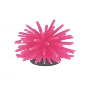 FI "Коралл мягкий розовый" 4.5*4.5*4 см