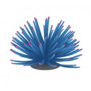 FI "Коралл мягкий голубой" 13*13*10 см