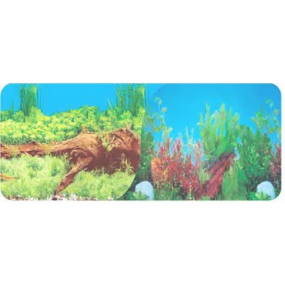 Биодизайн "Altum 450" 450 л, 151*56*63 см (аквариум) Биодизайн "Altum 450" 450 л, 151*56*63 см (аквариум)