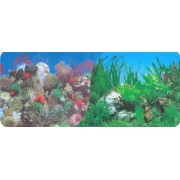 Фон двухсторонний "Кораллы синий/Растительный с белым камнем" высота 60см