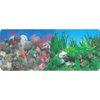 Фон двухсторонний "Кораллы синий/Растительный с белым камнем" высота 60см Фон двухсторонний "Кораллы синий/Растительный с белым камнем" высота 60см