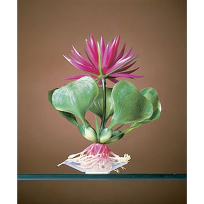 Распылитель белый, 25*50 мм (ASW-89014) Распылитель белый, 25*50 мм (ASW-89014)