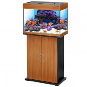 Биодизайн "Риф 60" Швейцарская Груша, 60л, 56*32*44 см (аквариум без тумбы)