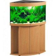 Биодизайн "Диарама 150" Бук, 130 л, 63*63*52 см