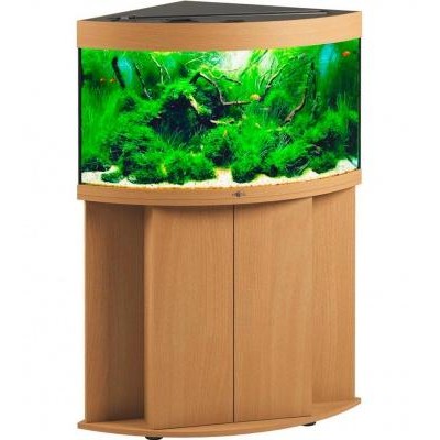 Биодизайн "Диарама 150" Бук, 130 л, 63*63*52 см Биодизайн "Диарама 150" Бук, 130 л, 63*63*52 см