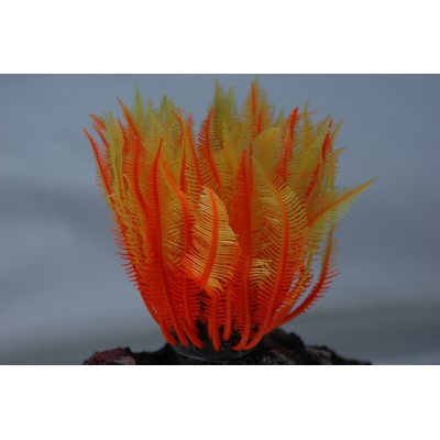 Коралл силиконовый жёлто-красный, 4*4*12 см (SH131SRY) Коралл силиконовый жёлто-красный, 4*4*12 см (SH131SRY)