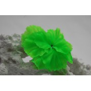 Коралл силиконовый зелёный, 14*11*9 см (SH205SG)