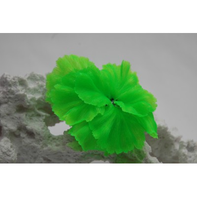 Коралл силиконовый зелёный, 14*11*9 см (SH205SG) Коралл силиконовый зелёный, 14*11*9 см (SH205SG)