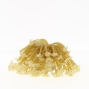 Коралл силиконовый на керамической основе золотой, 13*13*10 см (RT187GD)