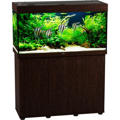 Биодизайн "Риф 200" Венге, 185 л, 101*41*56 см (аквариум) Биодизайн "Риф 200" Венге, 185 л, 101*41*56 см (аквариум)