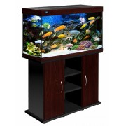 Тумба "Панорама 250" Золотой Орех, 126*46*73 см