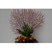 Композиция из искуственных кораллов, 26*18*22 см (SH9612А)
