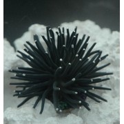 Коралл силиконовый на керамической основе чёрный, 4.5*4.5*4 см (RT172SBK)