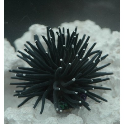 Коралл силиконовый на керамической основе чёрный, 4.5*4.5*4 см (RT172SBK) Коралл силиконовый на керамической основе чёрный, 4.5*4.5*4 см (RT172SBK)