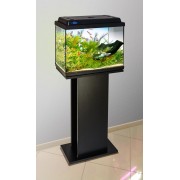 Биодизайн "Клас