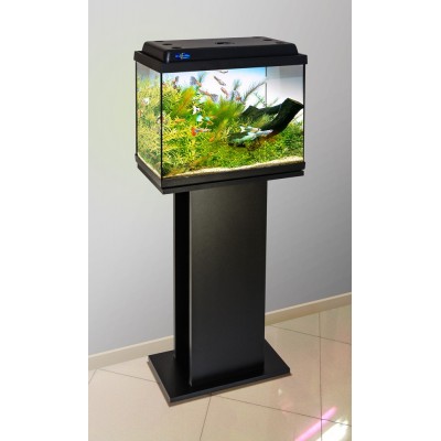 Биодизайн "Клас Биодизайн "Клас