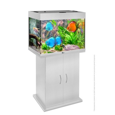 Аквариум "Foshan Glass" 260 л Аквариум "Foshan Glass" 260 л