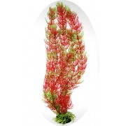 Бионикс "Амбулия красно-зеленая" 10см(Растение)