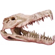 Prime "Череп крокодила" 25*11*15 см (декорация пластиковая)