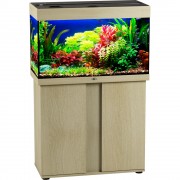 Биодизайн "Риф 125" Белёный Дуб, 125 л, 81*38*52 см (аквариум)