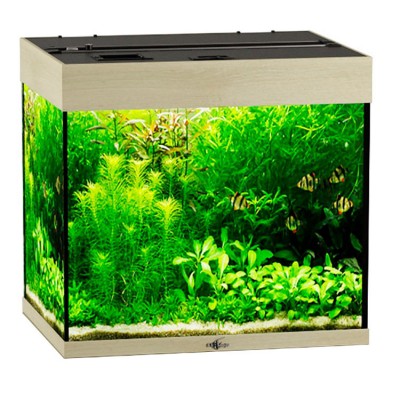 Биодизайн "Риф 100" Белёный Дуб, 100 л, 56*44*52 см (аквариум) Биодизайн "Риф 100" Белёный Дуб, 100 л, 56*44*52 см (аквариум)