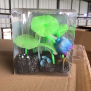 Glo кораллы и цветы