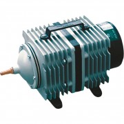 Glo кораллы и цветы