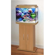 Биодизайн "Классик 50R" Бук, 53 л, 50*29*45 см