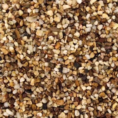 Растение "Хемиантус" 20 см Растение "Хемиантус" 20 см