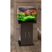 Биодизайн "Классик 50" Венге, 55 л, 50*29*45 см