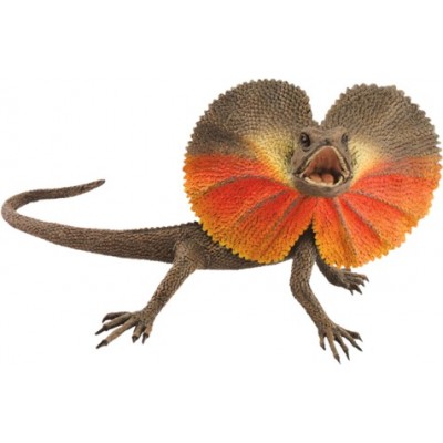 Плащеносная ящерица (Chlamydosaurus kingii) Плащеносная ящерица (Chlamydosaurus kingii)