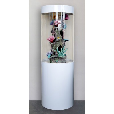 Seachem "Alkaline Buffer" 300 гр (Кондиционер для повышения PH) Seachem "Alkaline Buffer" 300 гр (Кондиционер для повышения PH)