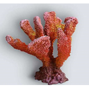 Коралл ветвь средняя К-002 (декор)