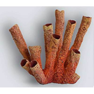 Коралл дудки K-012/1 (декор) Коралл дудки K-012/1 (декор)