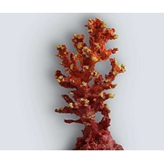 Коралл дерево K-013 (декор)