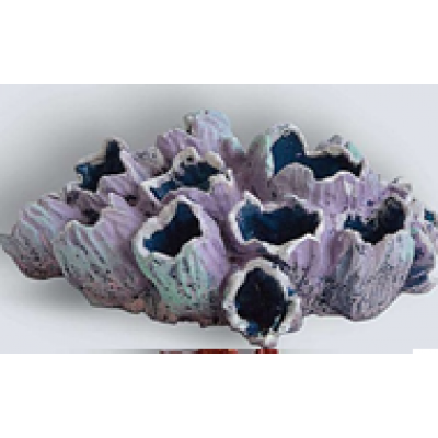 Коралл желудь K-014 (декор) Коралл желудь K-014 (декор)