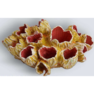 Коралл желудь K-014/1 (декор) Коралл желудь K-014/1 (декор)