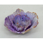 Коралл К-024 (декор)