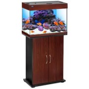 Биодизайн "Риф 60" Тёмная Вишня LED