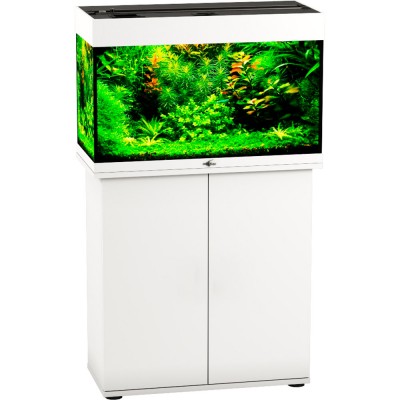 Биодизайн "Риф 80" Белый, 82 л, 71*33*46 см (аквариум) Биодизайн "Риф 80" Белый, 82 л, 71*33*46 см (аквариум)