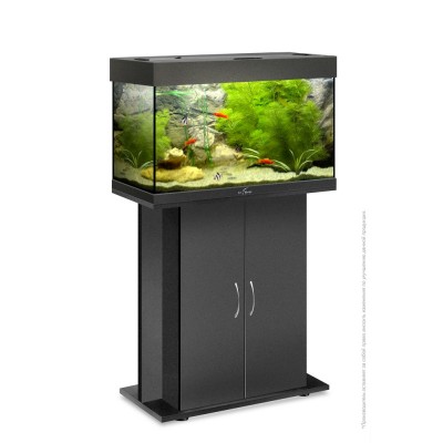 Биодизайн "Риф 80" Чёрный, LED, 82л, 71*33*46 см (аквариум без тумбы) Биодизайн "Риф 80" Чёрный, LED, 82л, 71*33*46 см (аквариум без тумбы)