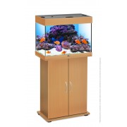 Биодизайн "Риф 60" Бук, 60 л (аквариумный комплект)